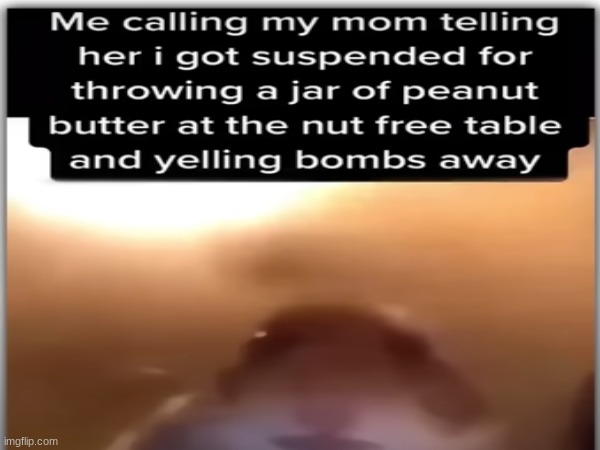 bombs away | image tagged in mems,school | made w/ Imgflip meme maker