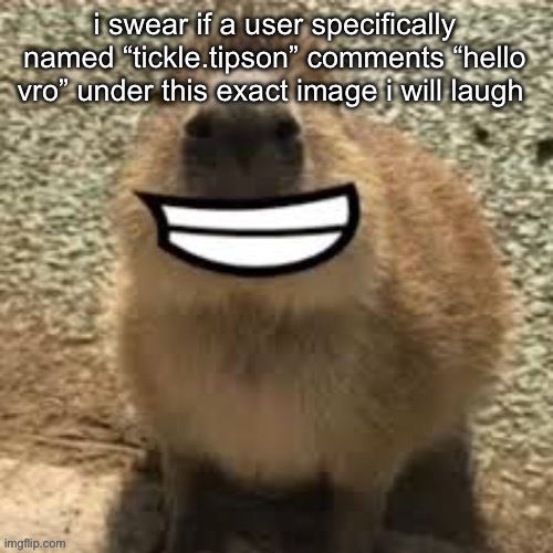 goofy ass capybara | i swear if a user specifically named “tickle.tipson” comments “hello vro” under this exact image i will laugh | image tagged in goofy ass capybara | made w/ Imgflip meme maker