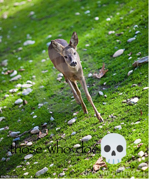 💀 | made w/ Imgflip meme maker