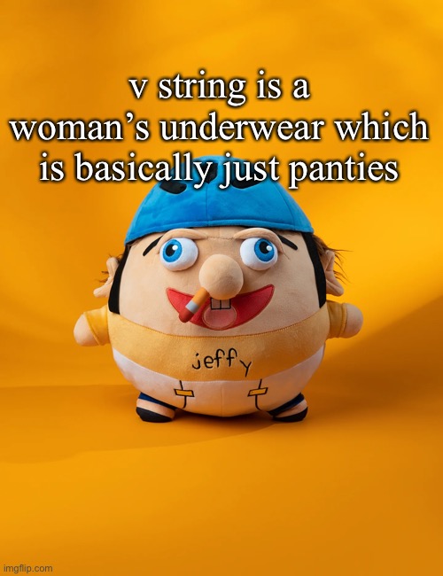 A response to comments on auditors post | v string is a woman’s underwear which is basically just panties | image tagged in rot | made w/ Imgflip meme maker