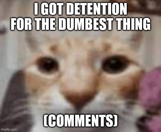 :| | I GOT DETENTION FOR THE DUMBEST THING; (COMMENTS) | made w/ Imgflip meme maker