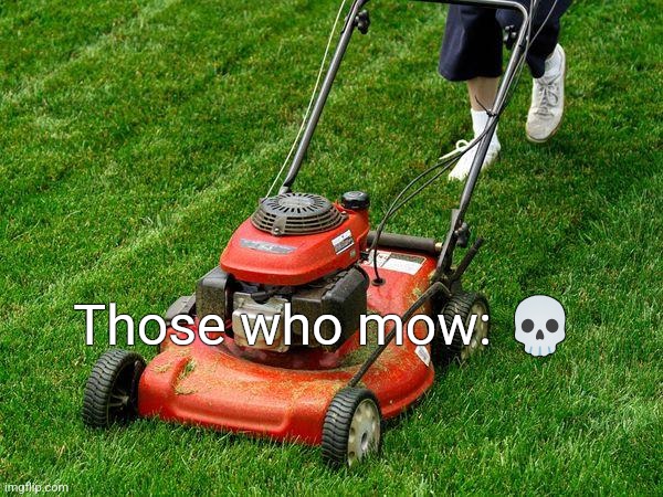 lawnmower | Those who mow: 💀 | image tagged in lawnmower | made w/ Imgflip meme maker