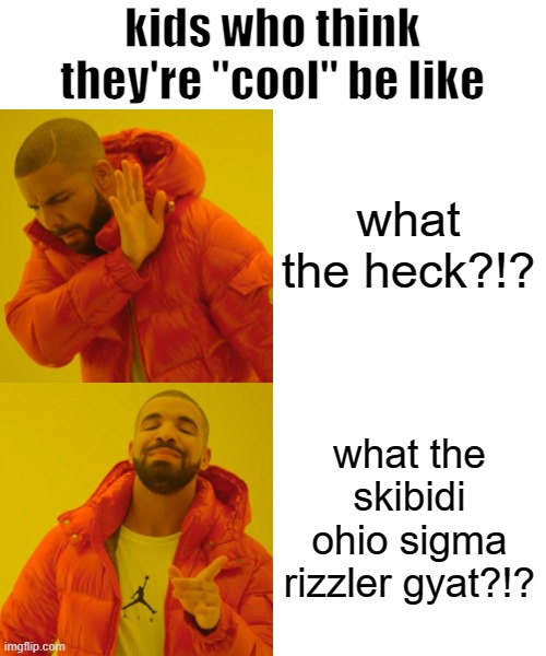 the truth | kids who think they're "cool" be like; what the heck?!? what the skibidi ohio sigma rizzler gyat?!? | image tagged in memes,drake hotline bling | made w/ Imgflip meme maker