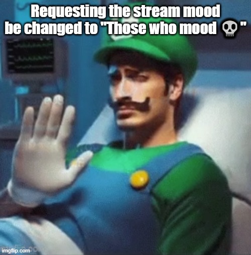 Luigi says no. | Requesting the stream mood be changed to "Those who mood 💀" | image tagged in luigi says no | made w/ Imgflip meme maker