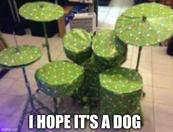 I hope it's a dog | I HOPE IT'S A DOG | image tagged in meme,drums | made w/ Imgflip meme maker