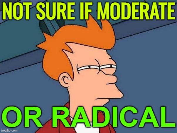 Not Sure If Moderate Or Radical | NOT SURE IF MODERATE; OR RADICAL | image tagged in skeptical fry,radical islam,anti-religion,religion,abrahamic religions,islamic terrorism | made w/ Imgflip meme maker