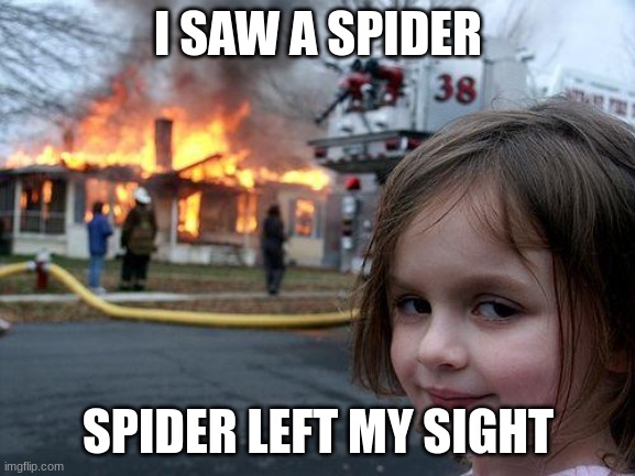 Disaster Girl | I SAW A SPIDER; SPIDER LEFT MY SIGHT | image tagged in memes,disaster girl | made w/ Imgflip meme maker