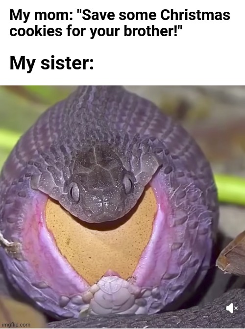 My mom: "Save some Christmas
cookies for your brother!"; My sister: | image tagged in memes,christmas,gluttony,sister,cookies,snake | made w/ Imgflip meme maker