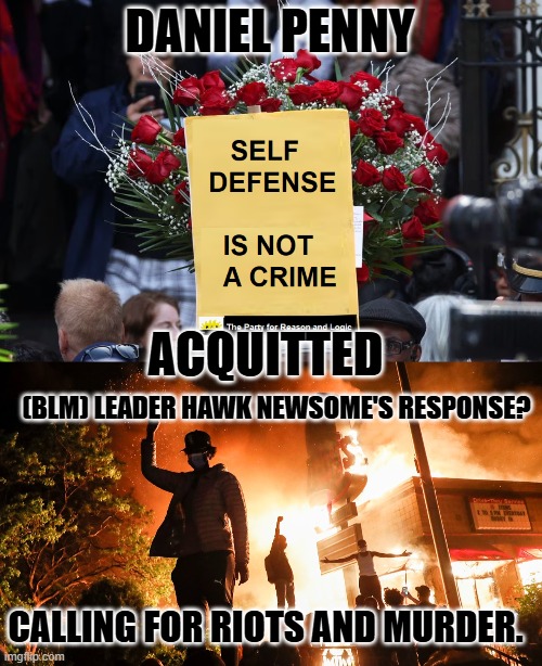 Never go full terrorist. | DANIEL PENNY; ACQUITTED; (BLM) LEADER HAWK NEWSOME'S RESPONSE? CALLING FOR RIOTS AND MURDER. | image tagged in daniel penny is innocent,blm riots | made w/ Imgflip meme maker