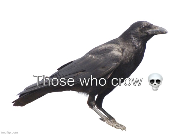 Those who crow | Those who crow | image tagged in those who crow | made w/ Imgflip meme maker