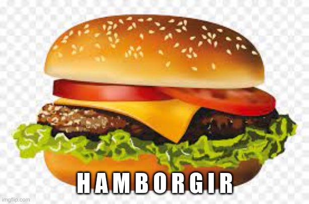 H A M B U R G E R | H A M B O R G I R | image tagged in h a m b u r g e r | made w/ Imgflip meme maker