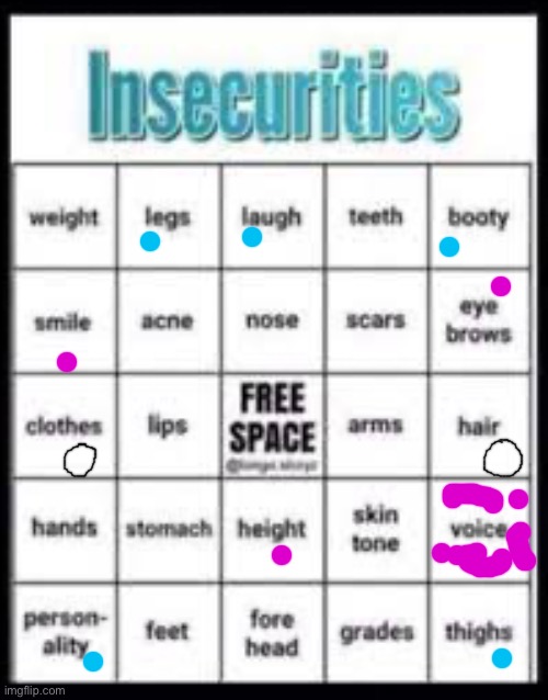 i love how i marked the most transgender ones | image tagged in insecurities bingo | made w/ Imgflip meme maker