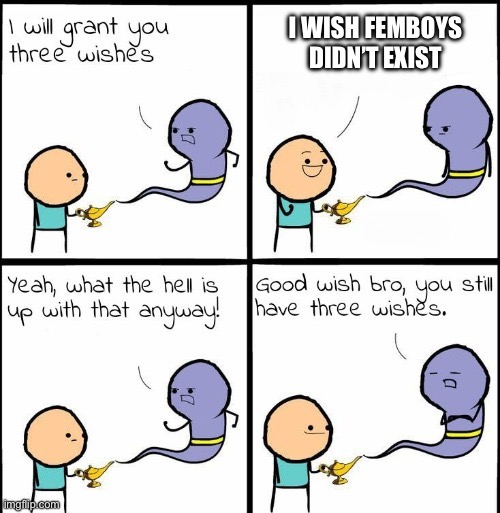 You Still Have 3 Wishes | I WISH FEMBOYS DIDN’T EXIST | image tagged in you still have 3 wishes | made w/ Imgflip meme maker