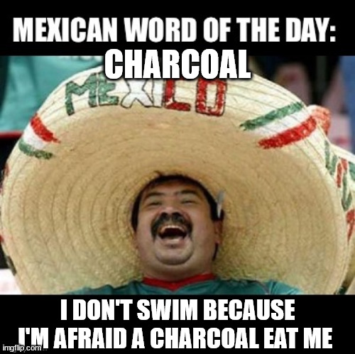 MEXICAN WORD CHARCOAL | CHARCOAL; I DON'T SWIM BECAUSE I'M AFRAID A CHARCOAL EAT ME | image tagged in mexican word of the day large | made w/ Imgflip meme maker