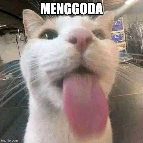 Catlick | MENGGODA | image tagged in cat,cute cat,cats,funny cats | made w/ Imgflip meme maker