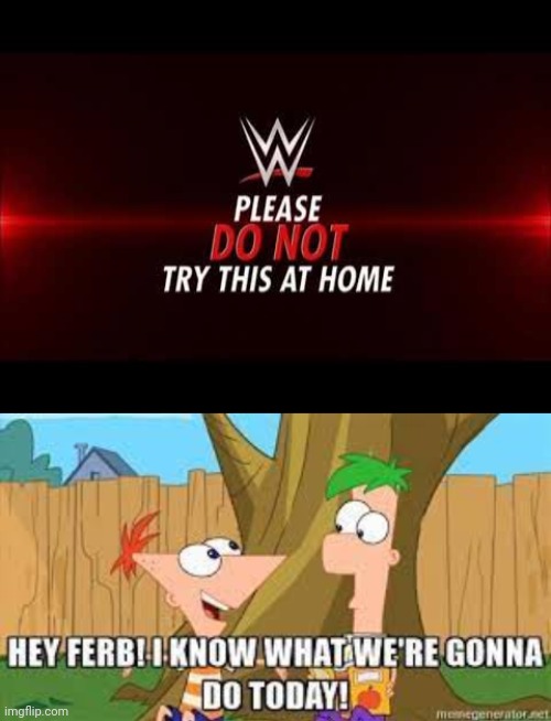 The world's most ignored warning, next to the warning on the back of Nintendo cartridges telling you not to blow on them | image tagged in wwe please do not try this at home 2016,hey ferb i know what we're gonna do today,memes,wwe | made w/ Imgflip meme maker