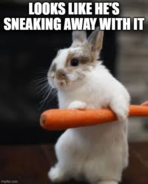 Sneaky | LOOKS LIKE HE'S SNEAKING AWAY WITH IT | image tagged in bunnies | made w/ Imgflip meme maker