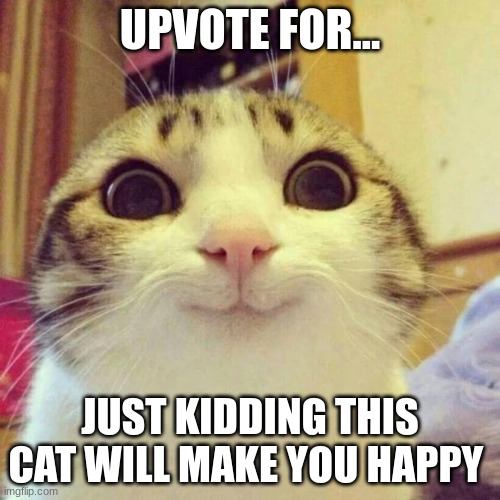 Smiling Cat | UPVOTE FOR... JUST KIDDING THIS CAT WILL MAKE YOU HAPPY | image tagged in memes,smiling cat | made w/ Imgflip meme maker