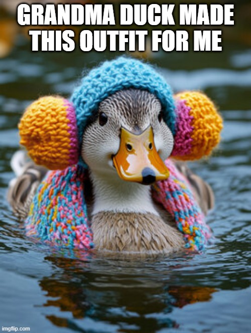 Duck Knitting | GRANDMA DUCK MADE THIS OUTFIT FOR ME | image tagged in ducks | made w/ Imgflip meme maker