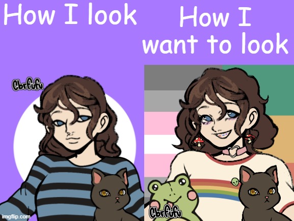 MY LIPS ARE TOO BIG AND MY NOSE IS UGLY AND MY EYES ARE SMALL!!! Also i have not come out :( | image tagged in how i look vs how i want to look | made w/ Imgflip meme maker
