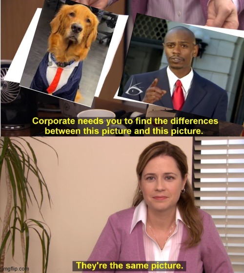 Modern Problems Dog | image tagged in memes,they're the same picture | made w/ Imgflip meme maker