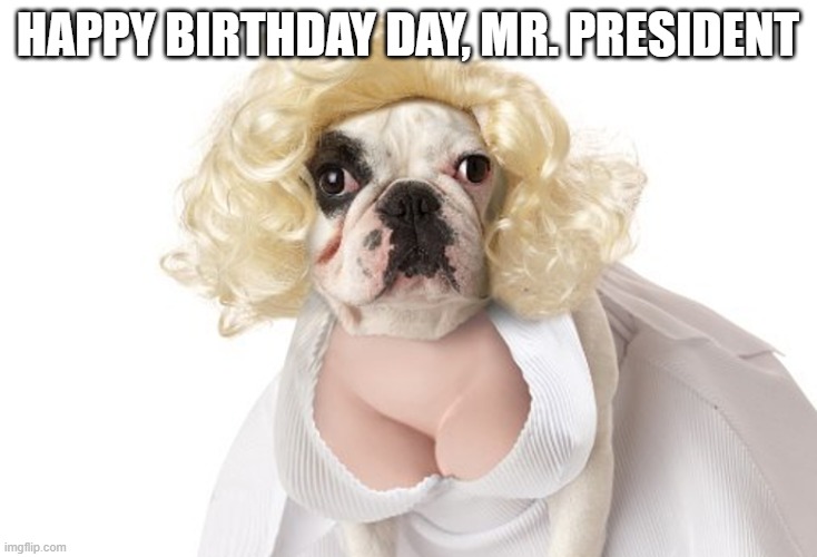 Marilyn Dog | HAPPY BIRTHDAY DAY, MR. PRESIDENT | image tagged in dogs | made w/ Imgflip meme maker