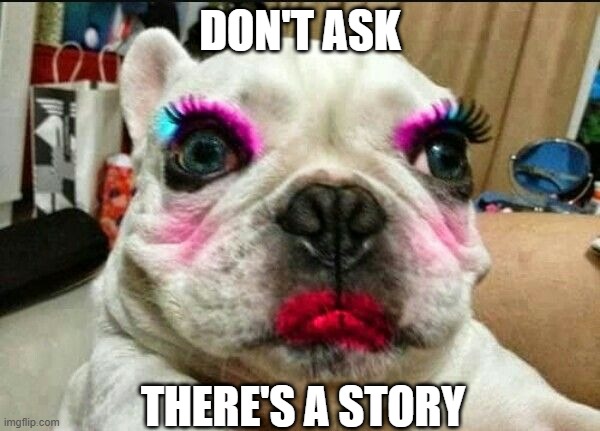 Made Up | DON'T ASK; THERE'S A STORY | image tagged in dogs | made w/ Imgflip meme maker