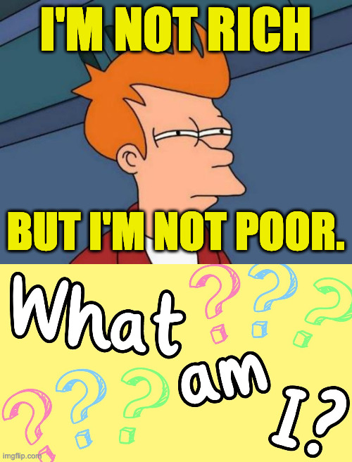 I'M NOT RICH BUT I'M NOT POOR. | image tagged in memes,futurama fry | made w/ Imgflip meme maker