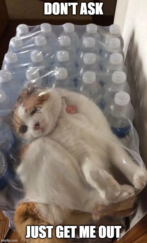 Water Bottle Cats | DON'T ASK; JUST GET ME OUT | image tagged in cats | made w/ Imgflip meme maker