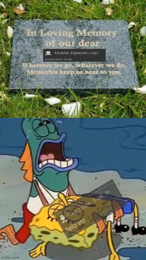 goodbye vro…. | image tagged in in loving memory of our dear dad,crying spongebob lifeguard fish | made w/ Imgflip meme maker