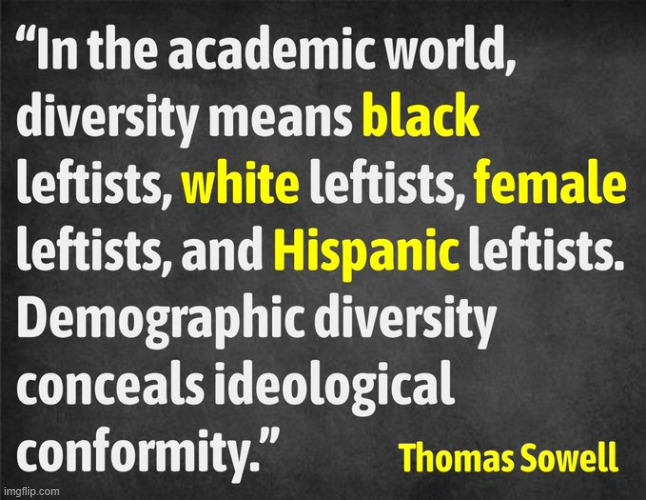 Thomas Sowell quote | image tagged in leftists,conformity,diversity,big brain | made w/ Imgflip meme maker