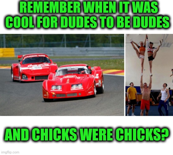 Funny | REMEMBER WHEN IT WAS COOL FOR DUDES TO BE DUDES; AND CHICKS WERE CHICKS? | image tagged in funny,80s,1980s,chicks,dudes,remember | made w/ Imgflip meme maker