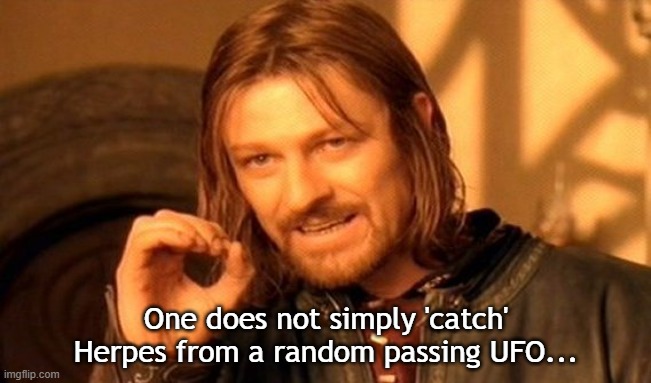 Rosie Got Herpes | One does not simply 'catch' Herpes from a random passing UFO... | image tagged in memes,one does not simply | made w/ Imgflip meme maker