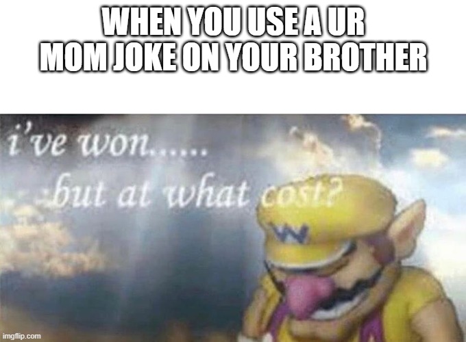 Bc We both have the same mom | WHEN YOU USE A UR MOM JOKE ON YOUR BROTHER | image tagged in ive won but at what cost | made w/ Imgflip meme maker