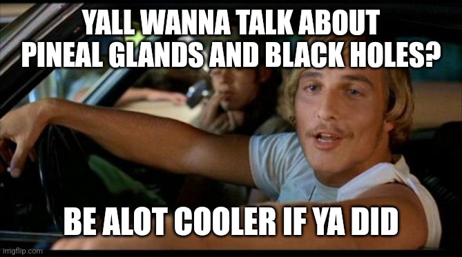 Matthew Mcconaughey | YALL WANNA TALK ABOUT PINEAL GLANDS AND BLACK HOLES? BE ALOT COOLER IF YA DID | image tagged in matthew mcconaughey | made w/ Imgflip meme maker