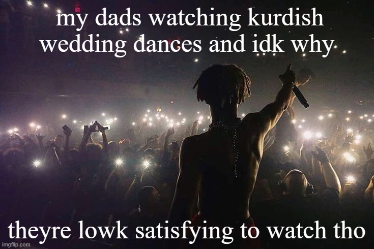 LLJ | my dads watching kurdish wedding dances and idk why; theyre lowk satisfying to watch tho | image tagged in llj | made w/ Imgflip meme maker