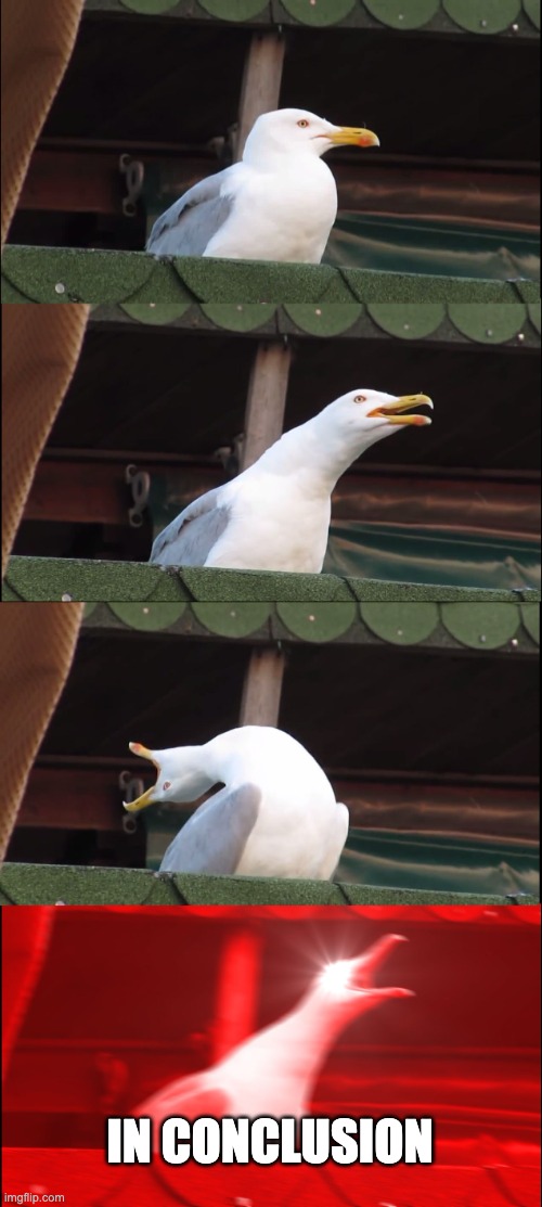 Inhaling Seagull | IN CONCLUSION | image tagged in memes,inhaling seagull | made w/ Imgflip meme maker