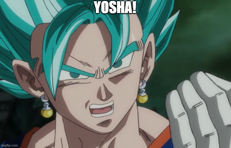 MLG Vegito | YOSHA! | image tagged in mlg vegito | made w/ Imgflip meme maker