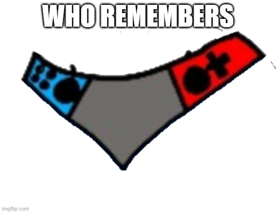 Switch Panties | WHO REMEMBERS | image tagged in switch panties | made w/ Imgflip meme maker