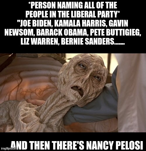 Alien Dying | *PERSON NAMING ALL OF THE PEOPLE IN THE LIBERAL PARTY*
"JOE BIDEN, KAMALA HARRIS, GAVIN NEWSOM, BARACK OBAMA, PETE BUTTIGIEG, LIZ WARREN, BERNIE SANDERS....... ....AND THEN THERE'S NANCY PELOSI | image tagged in alien dying | made w/ Imgflip meme maker