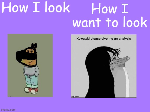 Analysis | image tagged in how i look vs how i want to look | made w/ Imgflip meme maker