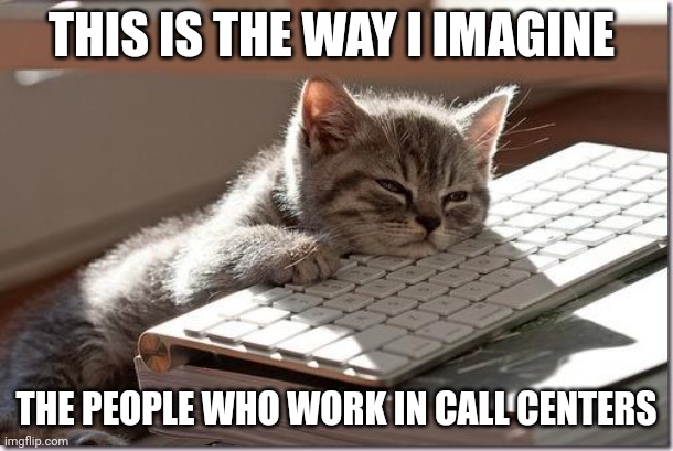 Bored Keyboard Cat | THIS IS THE WAY I IMAGINE; THE PEOPLE WHO WORK IN CALL CENTERS | image tagged in bored keyboard cat | made w/ Imgflip meme maker