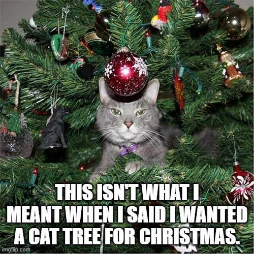 memes by Brad - This isn't what the cat wanted for Christmas. A cat tree. | THIS ISN'T WHAT I MEANT WHEN I SAID I WANTED A CAT TREE FOR CHRISTMAS. | image tagged in funny,cats,kittens,christmas tree,merry christmas,santa claus | made w/ Imgflip meme maker