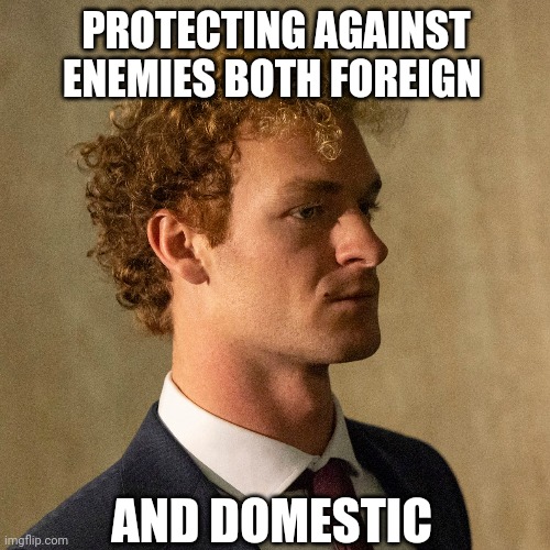 American Hero | PROTECTING AGAINST ENEMIES BOTH FOREIGN; AND DOMESTIC | image tagged in penny,2024,subway,america | made w/ Imgflip meme maker