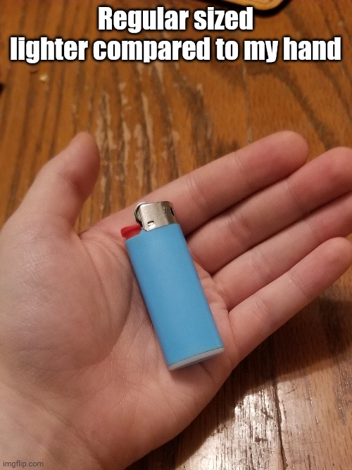 Meow | Regular sized lighter compared to my hand | made w/ Imgflip meme maker