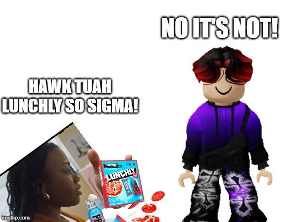 William is asking a 12 year old to stop with the brainrot. | NO IT'S NOT! HAWK TUAH LUNCHLY SO SIGMA! | image tagged in william,under 13,brainrot,memes,lunchly,hawk tuah | made w/ Imgflip meme maker