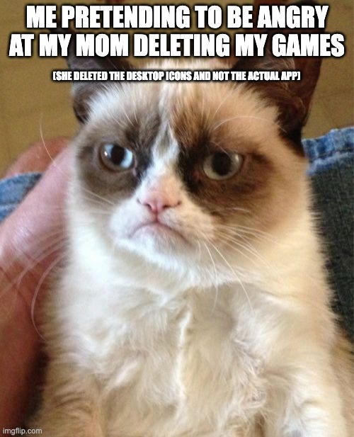 Im lucky she don't know tech | ME PRETENDING TO BE ANGRY AT MY MOM DELETING MY GAMES; (SHE DELETED THE DESKTOP ICONS AND NOT THE ACTUAL APP) | image tagged in memes,grumpy cat | made w/ Imgflip meme maker