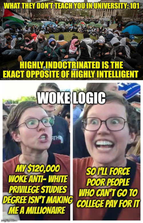 Highly indoctrinated libs owe money for unemplyable degrees... | image tagged in libs,highly indoctrinated,want everyone else to pay for their stupidity | made w/ Imgflip meme maker