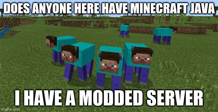 me and the boys | DOES ANYONE HERE HAVE MINECRAFT JAVA; I HAVE A MODDED SERVER | image tagged in me and the boys | made w/ Imgflip meme maker