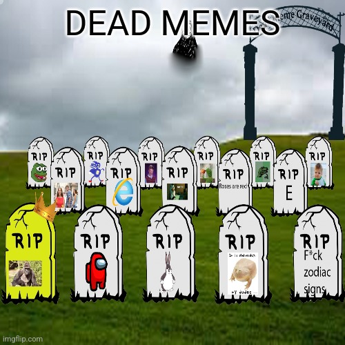 Dead memes | DEAD MEMES | image tagged in dead memes,dead meme,memes,meme,fun,oh wow are you actually reading these tags | made w/ Imgflip meme maker